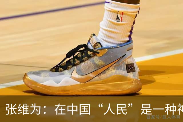 张维为：在中国“人民”是一种神圣的概念