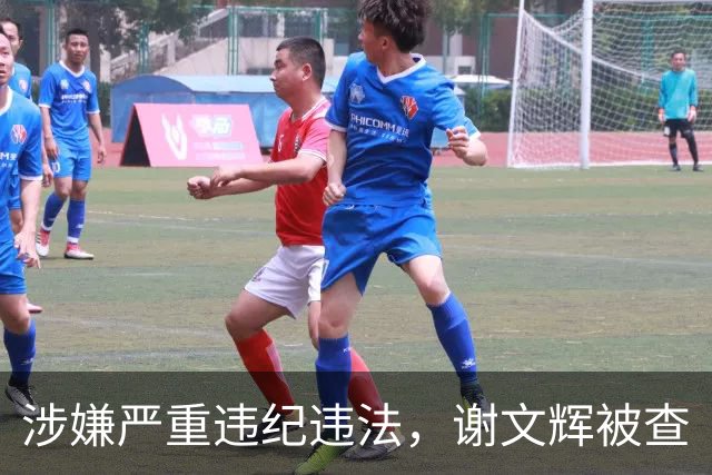 涉嫌严重违纪违法，谢文辉被查